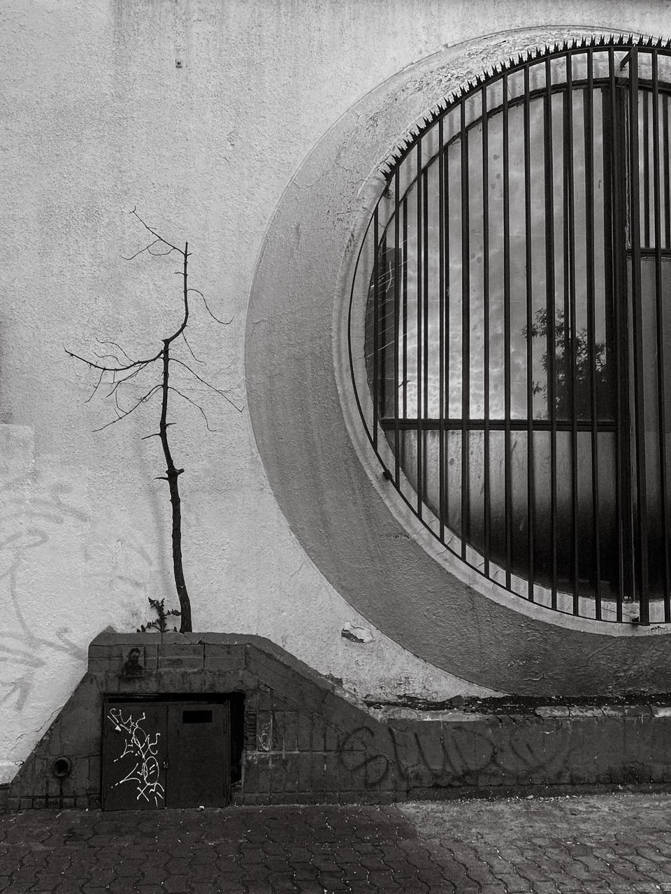 Una ventana circular con rejas en una pared de concreto, junto a un árbol sin hojas